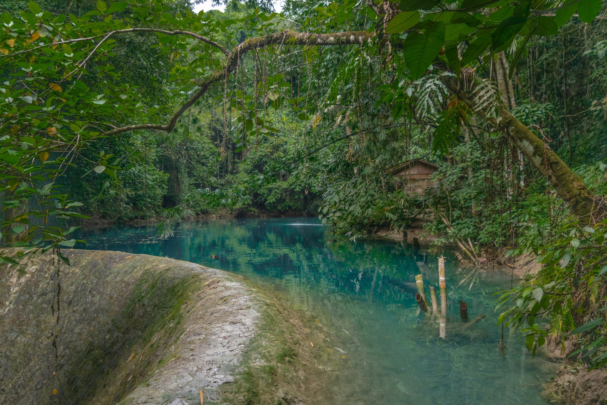 Kawasan Falls Canyoneering
