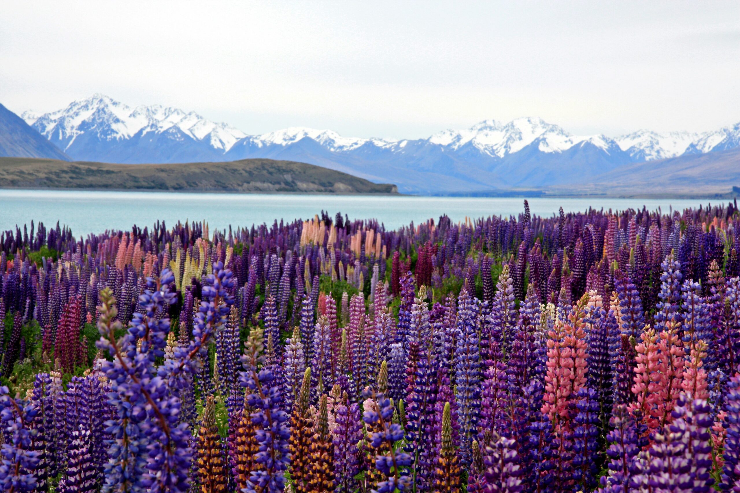 Lake Tekapo New Zealand